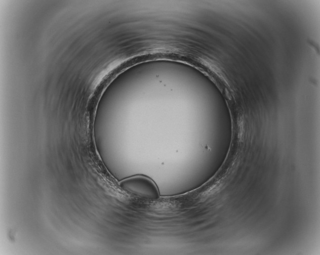 X0000102031021200807251346