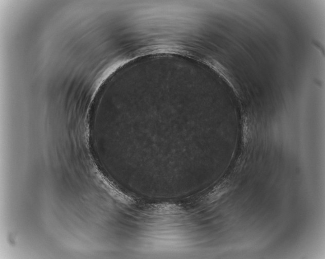 X0000102031024200807251346