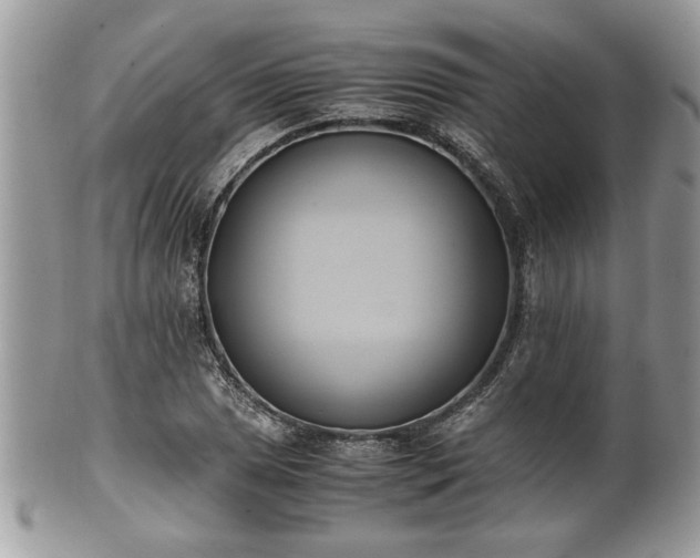 X0000102031025200807251347