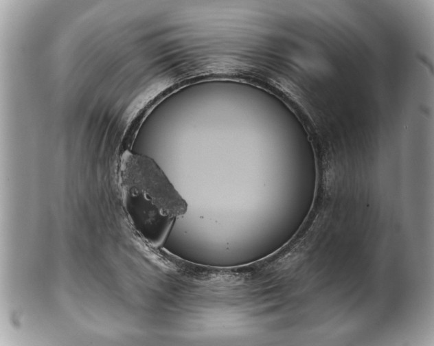 X0000102031026200807251347