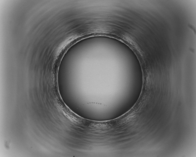 X0000102031027200807251347