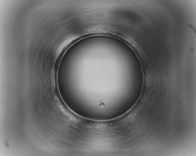 X0000102031030200807251347