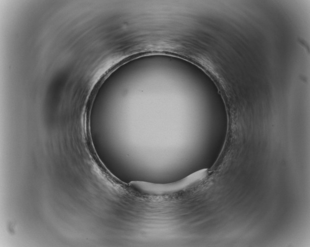 X0000102031032200807251347