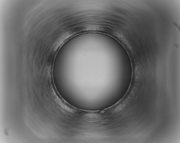 X0000102031033200807251347