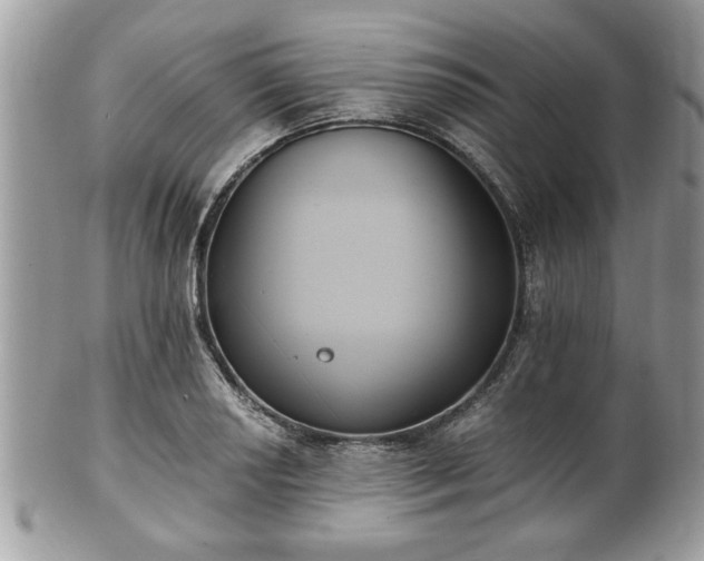 X0000102031034200807251347