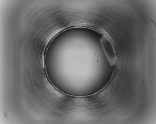 X0000102031036200807251347