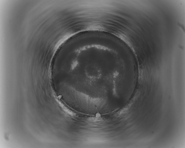 X0000102031037200807251347