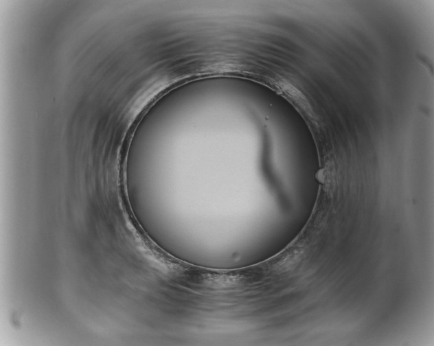 X0000102031039200807251347