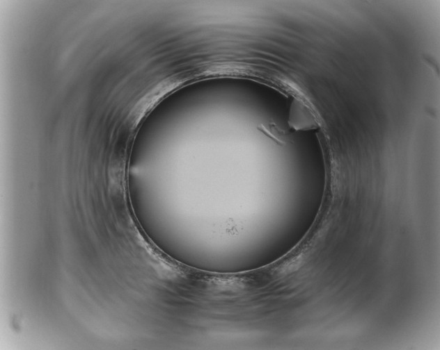 X0000102031041200807251347