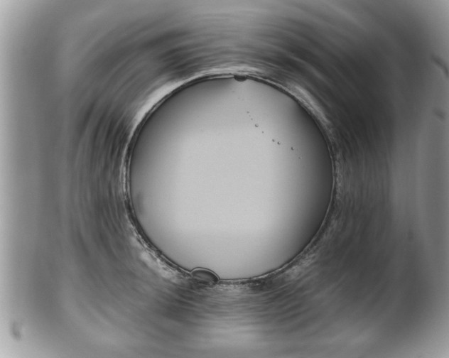 X0000102031044200807251347