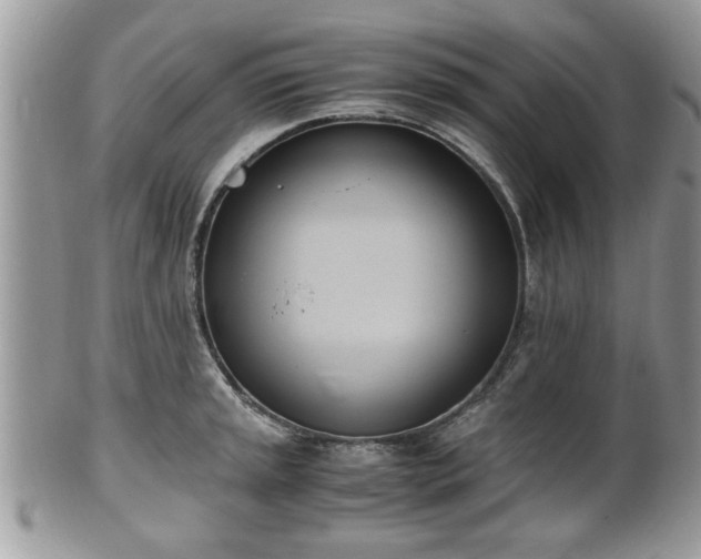 X0000102031045200807251347