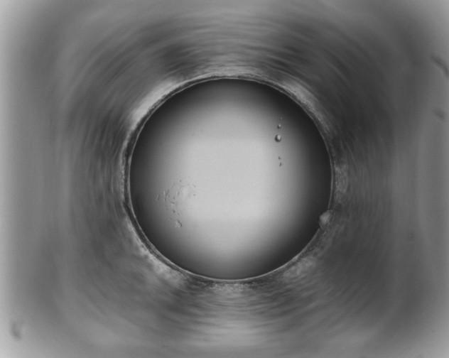 X0000102031046200807251347