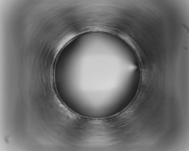 X0000102031048200807251347