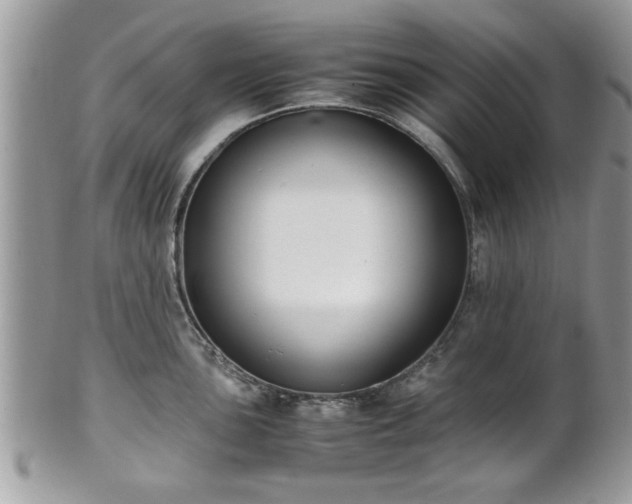 X0000102031051200807251347