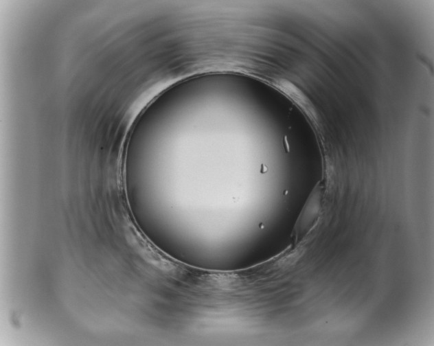 X0000102031052200807251347