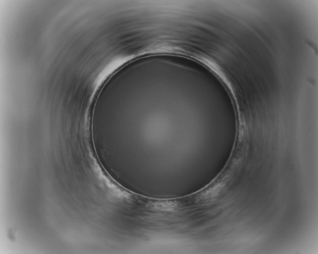 X0000102031053200807251347