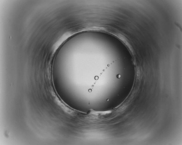 X0000102031054200807251347