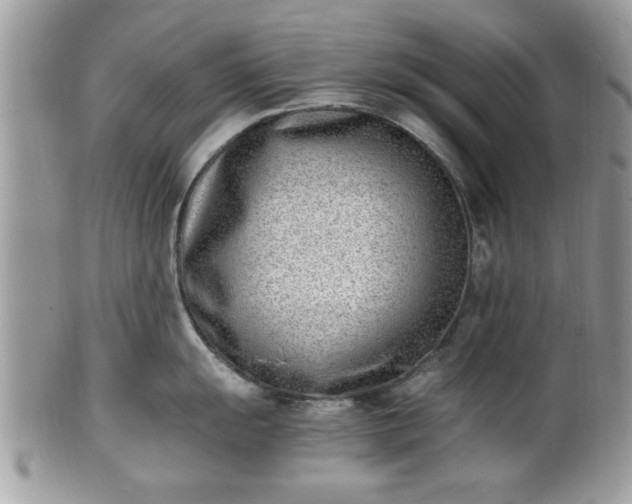 X0000102031055200807251347