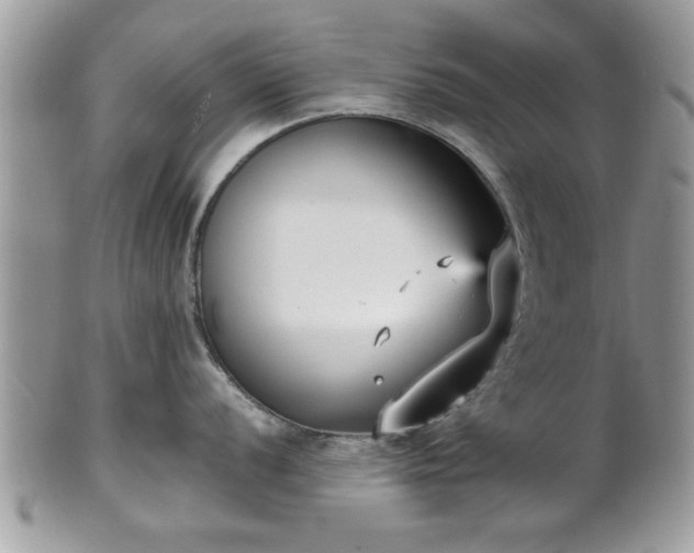 X0000102031056200807251347