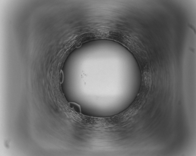 X0000102031057200807251346