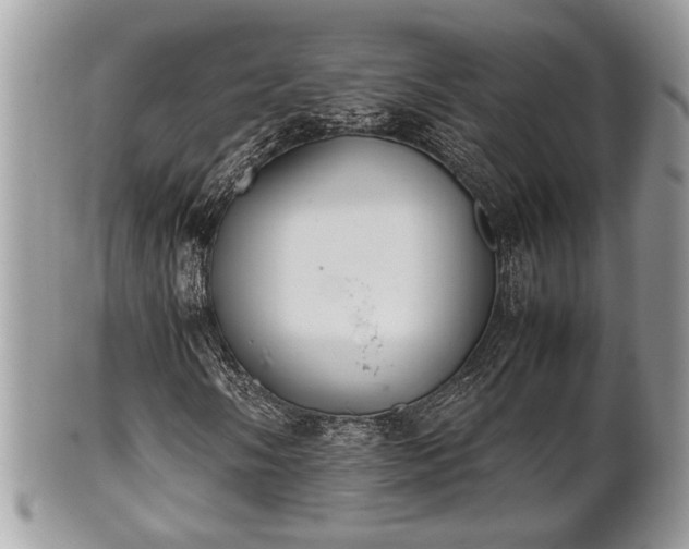 X0000102031058200807251346