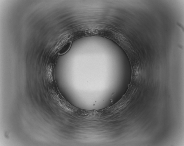 X0000102031060200807251346