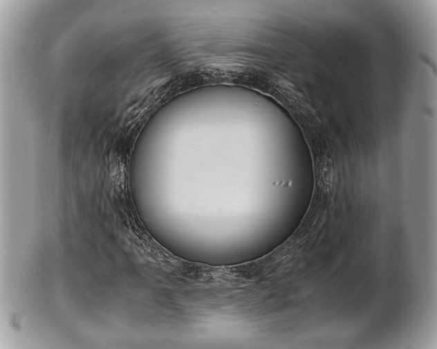 X0000102031061200807251346