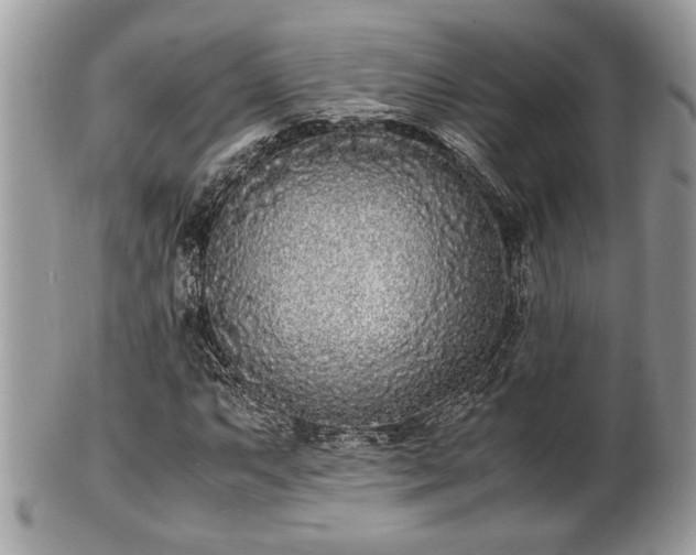 X0000102031063200807251346