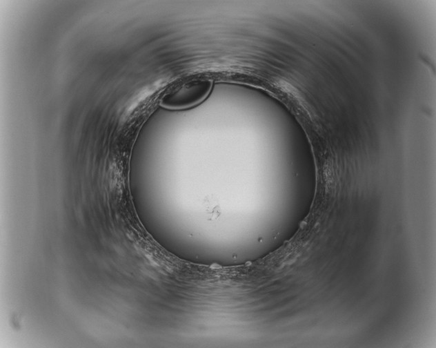 X0000102031064200807251346