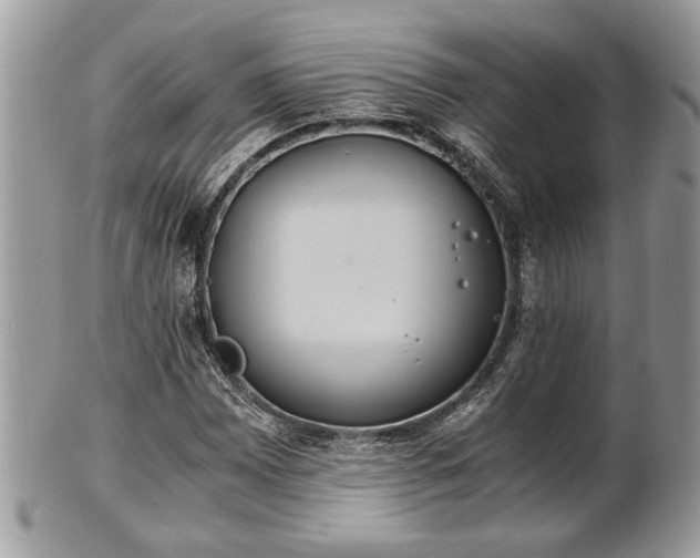 X0000102031065200807251346