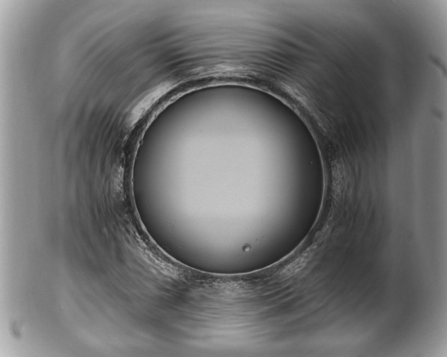 X0000102031066200807251346