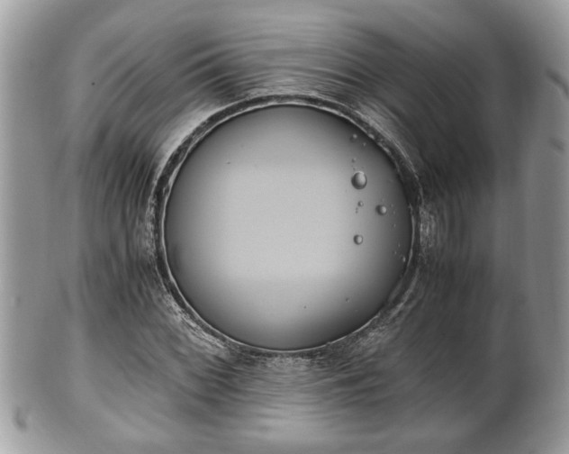 X0000102031068200807251346