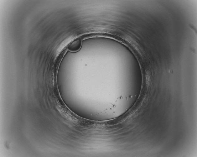 X0000102031069200807251346