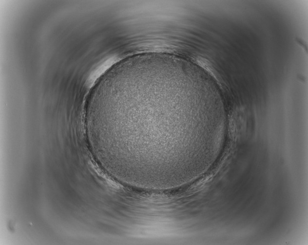 X0000102031071200807251346