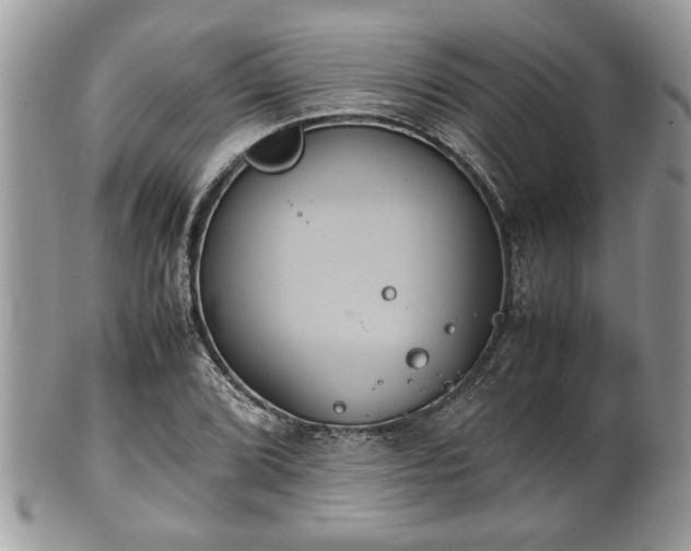 X0000102031072200807251346