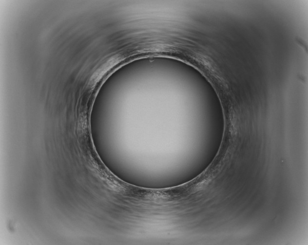 X0000102031073200807251346