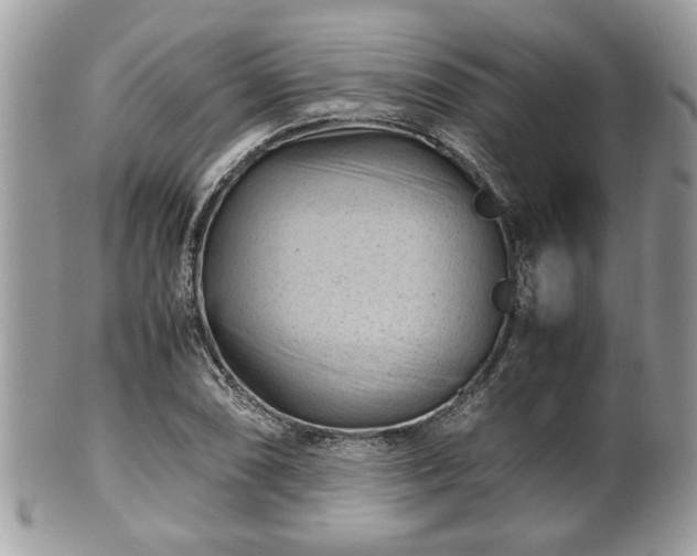 X0000102031074200807251346