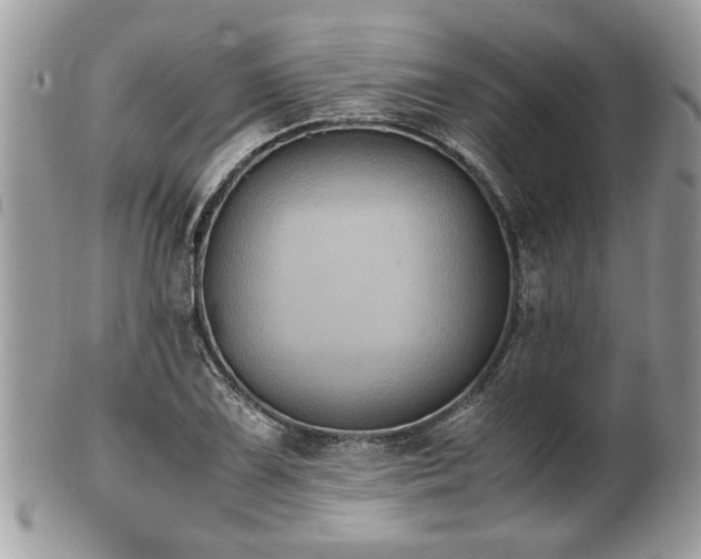 X0000102031075200807251346