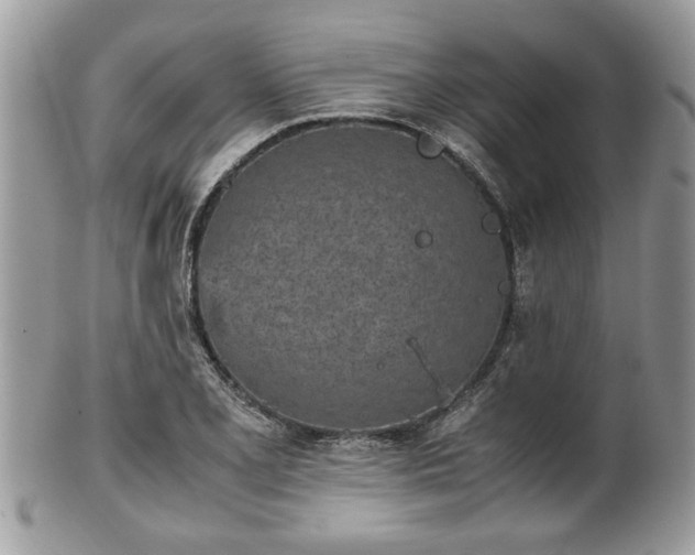 X0000102031077200807251346