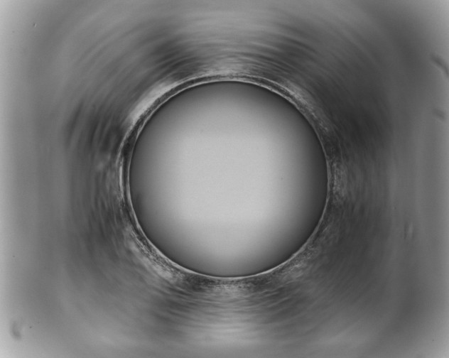 X0000102031078200807251346