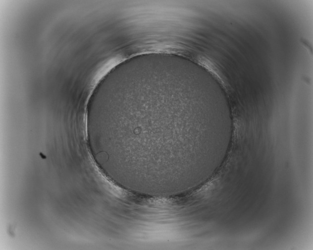 X0000102031079200807251346