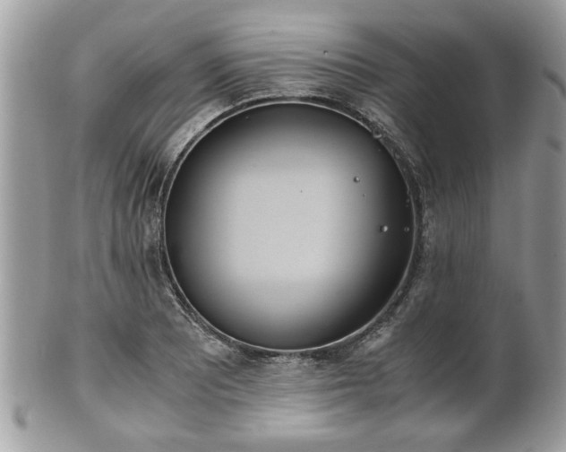 X0000102031081200807251346