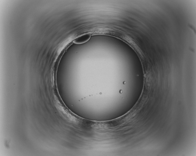 X0000102031083200807251346