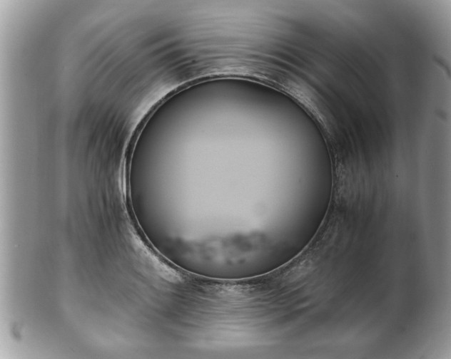 X0000102031084200807251346