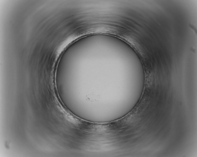 X0000102031086200807251346