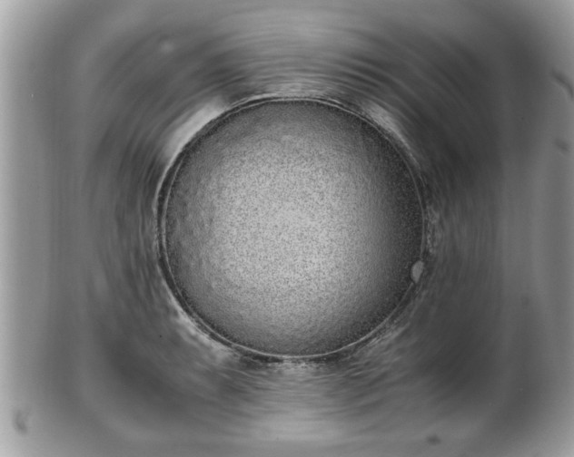 X0000102031087200807251346