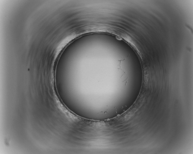 X0000102031088200807251346