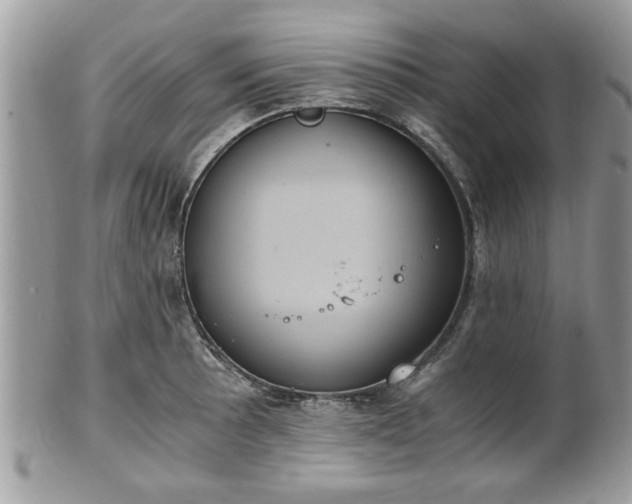 X0000102031089200807251346