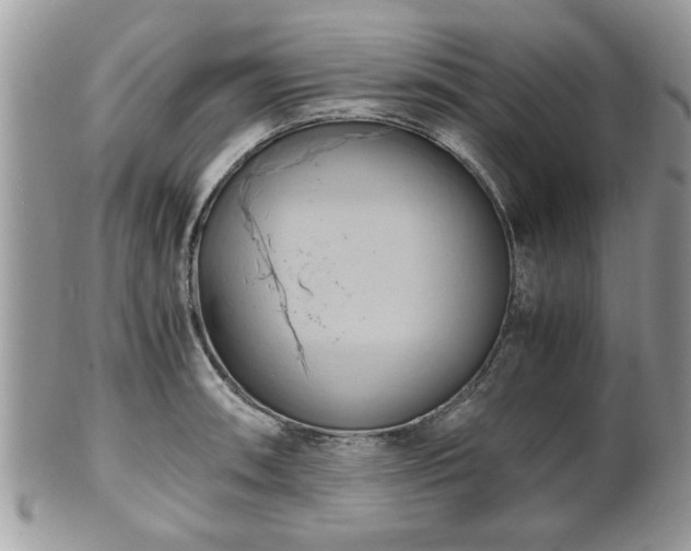 X0000102031090200807251346