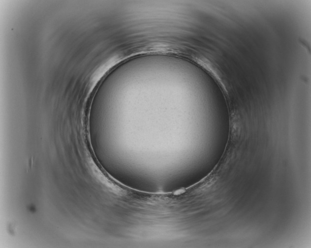 X0000102031091200807251346